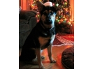 Zoey