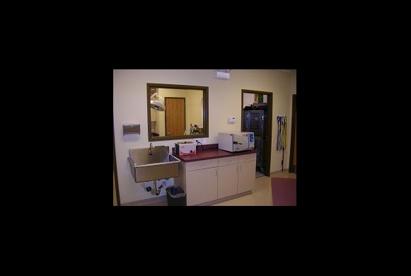 Surgery Prep Area