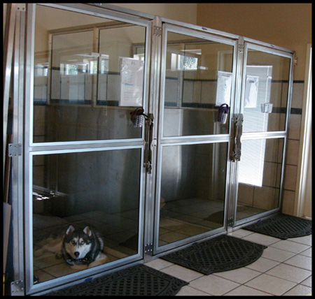 Dogworld Boarding