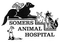 Somers Animal Hospital