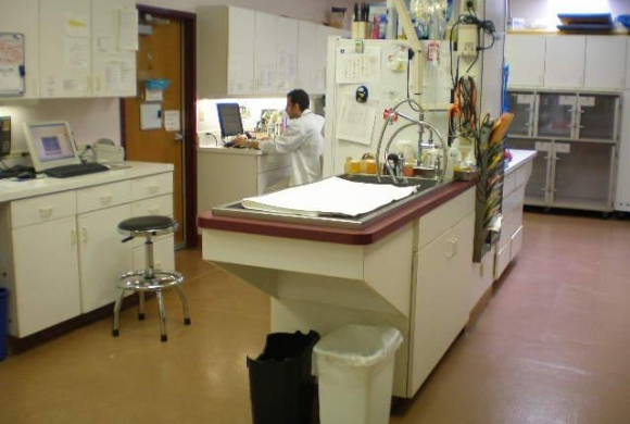 Treatment Area
