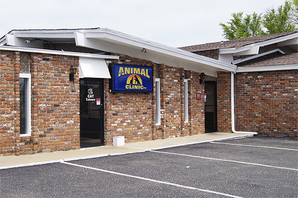The Animal Clinic, P.C. | Virtual Tour