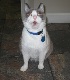 Simon(Deceased)