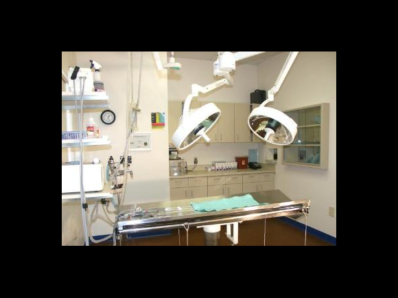 Surgery Suite