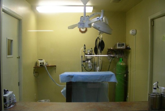 Surgery