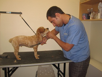 Meet our Groomer Brian