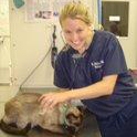 Dr. Megan Westfall Arevalo, DVM