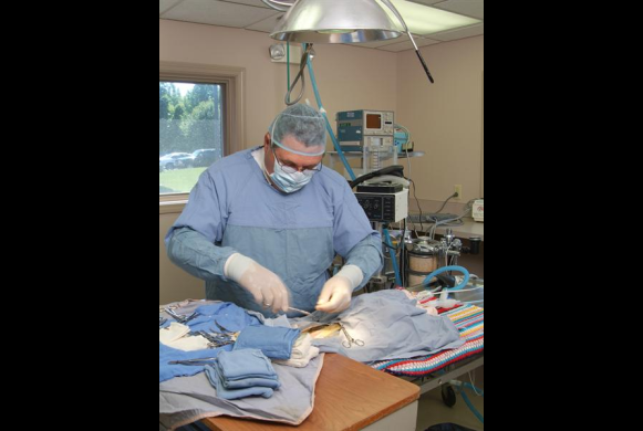Dr. Pierson Performing Surgery