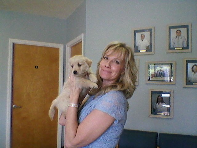 Terrie Steiner