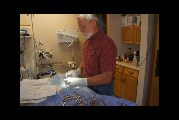 Surgery Suite