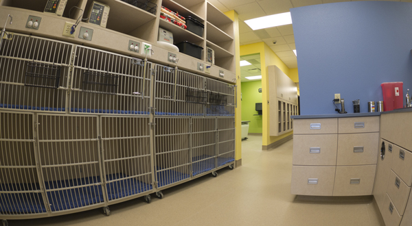 Outpatient day-stay patient area