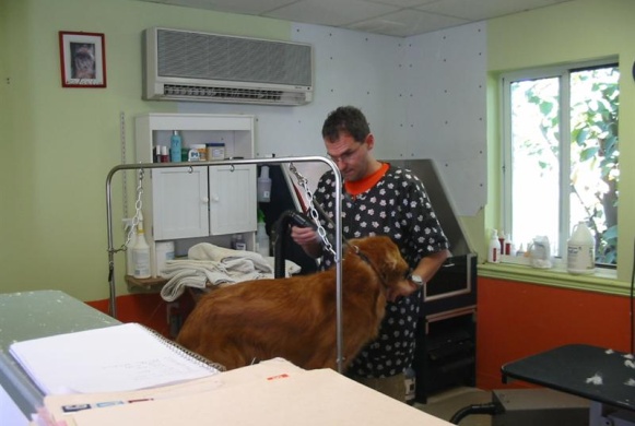 Grooming Area