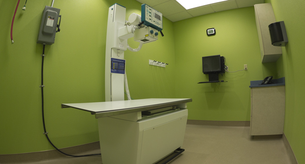 X-Ray Room