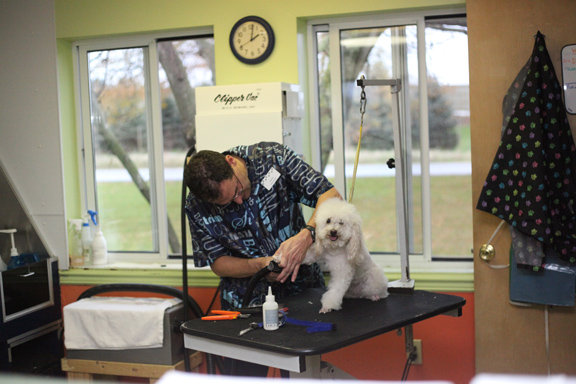 Grooming Area