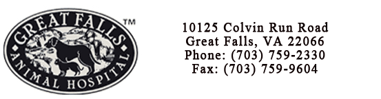 Great Falls Animal Hospital