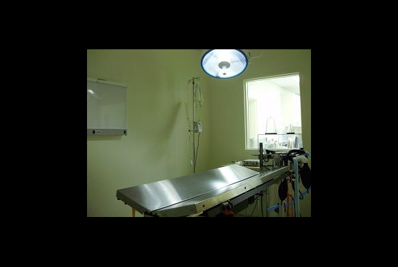 Surgery Suite