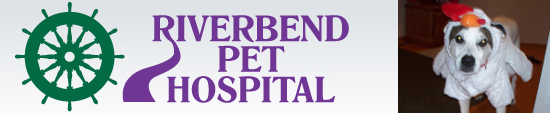 Riverbend Pet Hospital