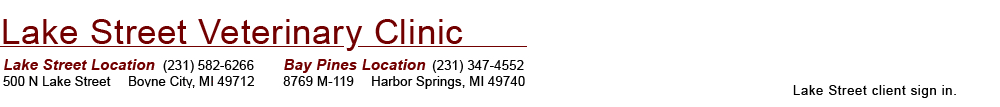 Lake Street Veterinary Clinic