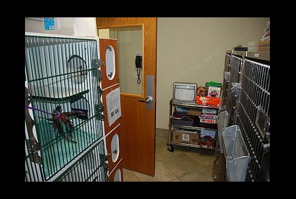 Boarding Facilities