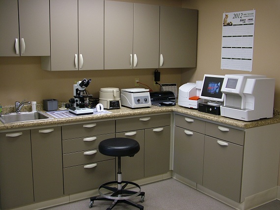 Lab