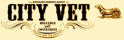 City Vet