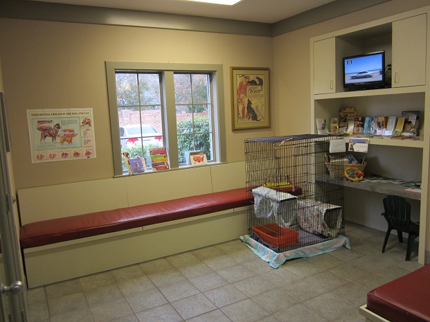 Cat Waiting Area