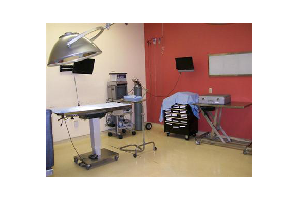Surgical Suite