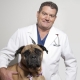 Scott Murphy, DVM, CVLS