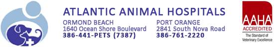 Atlantic Animal Hospital