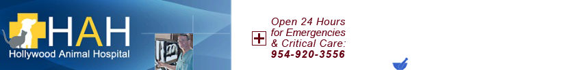 Hollywood Animal Hospital