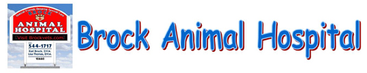 Brock Animal Hospital