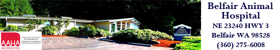 Belfair Animal Hospital