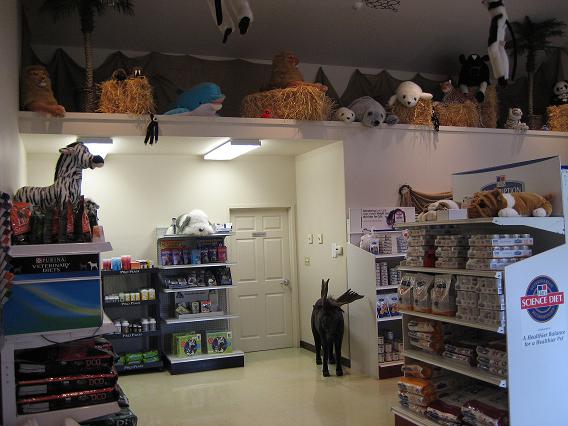 Retail Area and Animal Display