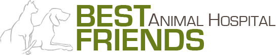 Best Friends Animal Hospital