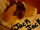 Jack Jack