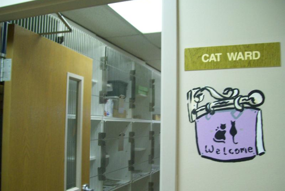 Cat Condos: Their home away from home.