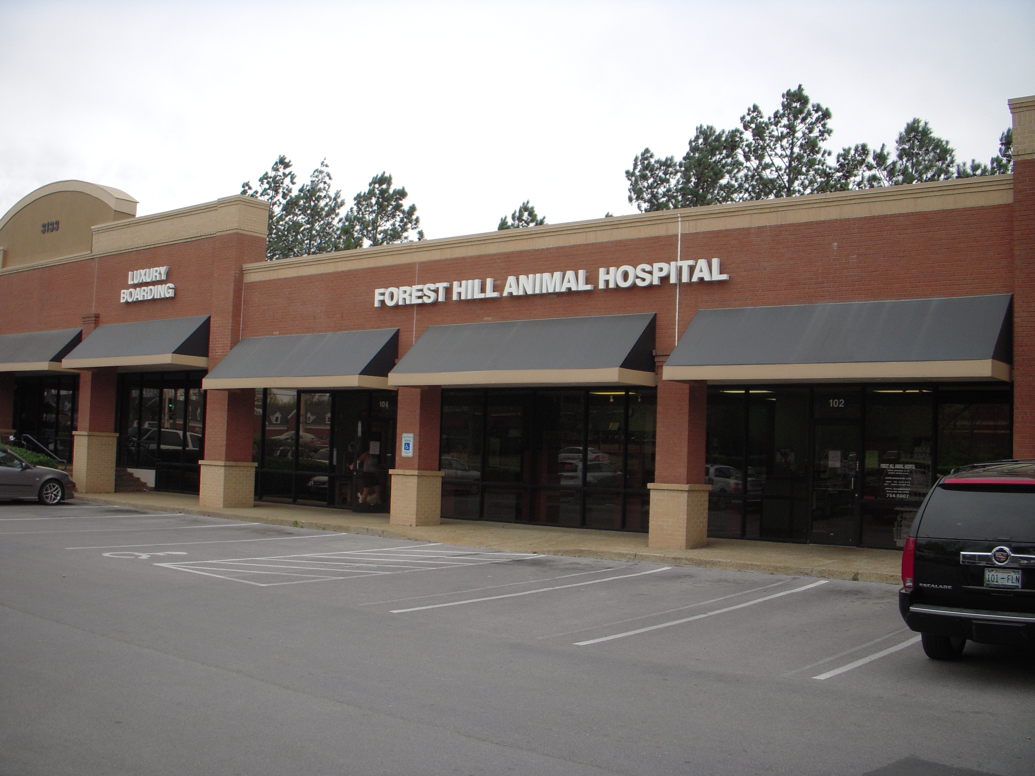 Forest Hill Animal Hospital, Germantown, TN 38138 Veterinarian