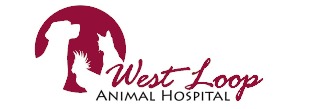 West Loop Animal Hospital
