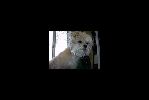 Grooming Before and After