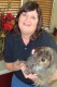 Cristie, Kennel
