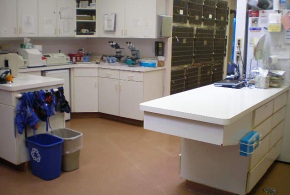 Treatment Area