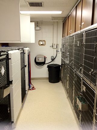 Kennel