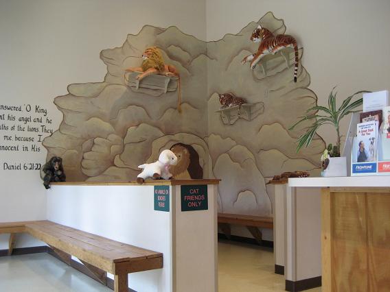 Cat Waiting Area