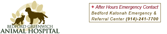 Bedford Greenwich Animal Hospital