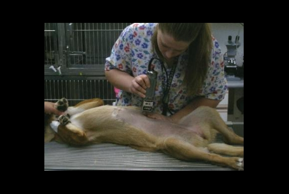 Getting Ready For Surgery