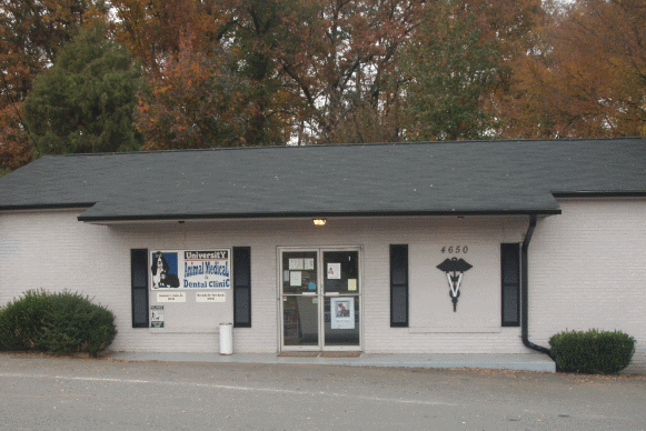 Our Clinic