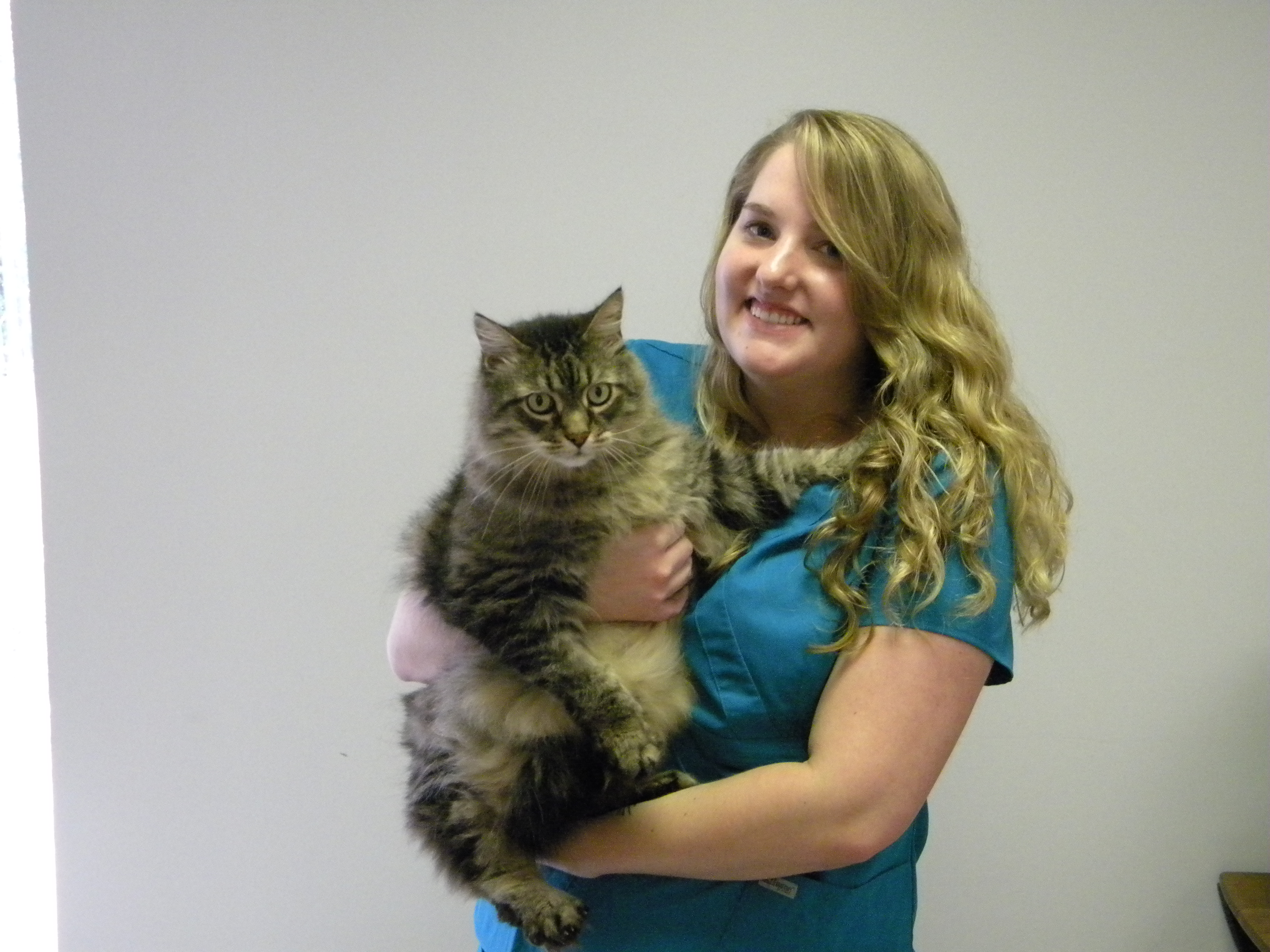 Kate Paulsen, Receptionist