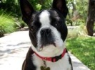 Winston
