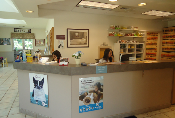 Reception Area