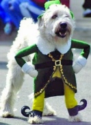 Elf